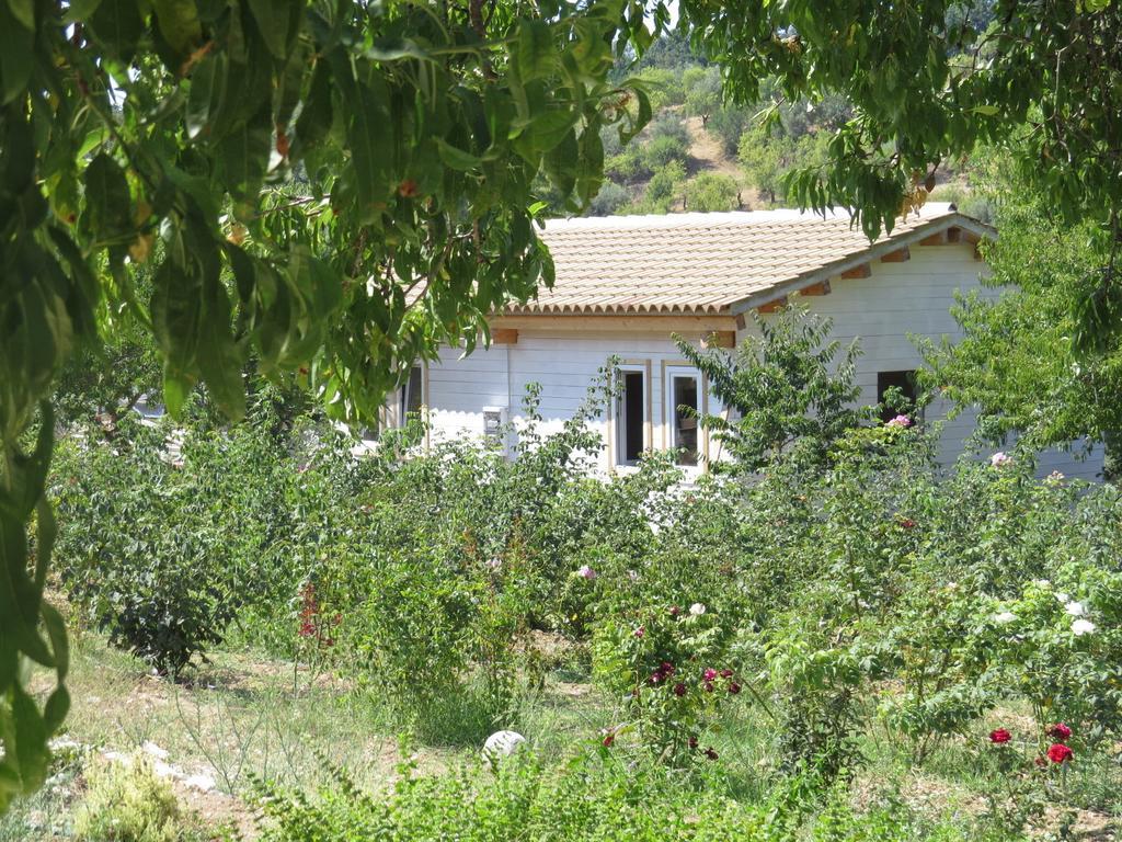 Camping Fiori Di Noto Quarto foto